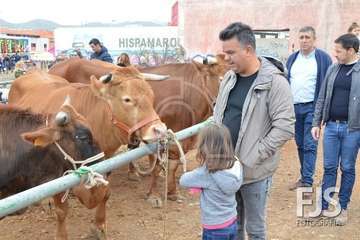 Los Llanos de Telde, en el día grande de sus fiestas patronales de 2019 (Foto Francisco Javier Santana)